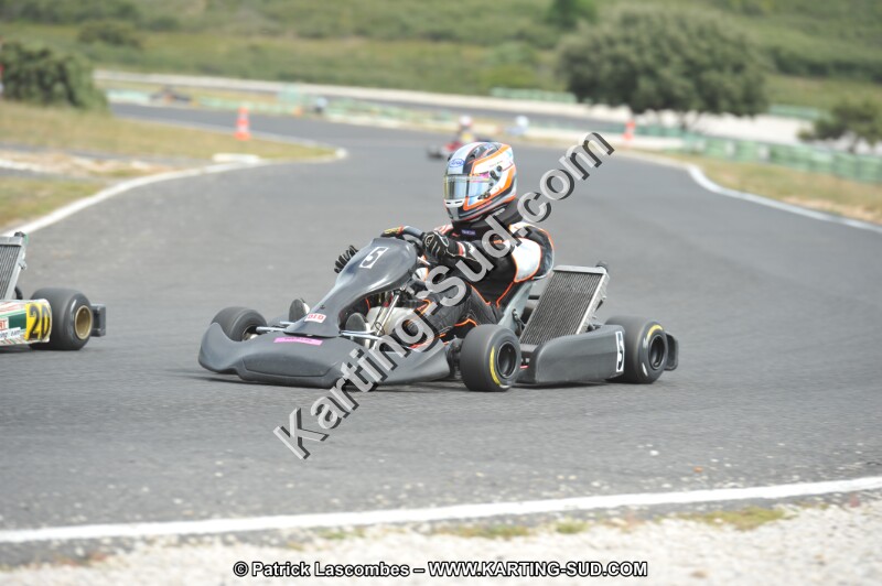 DSC (3446).JPG